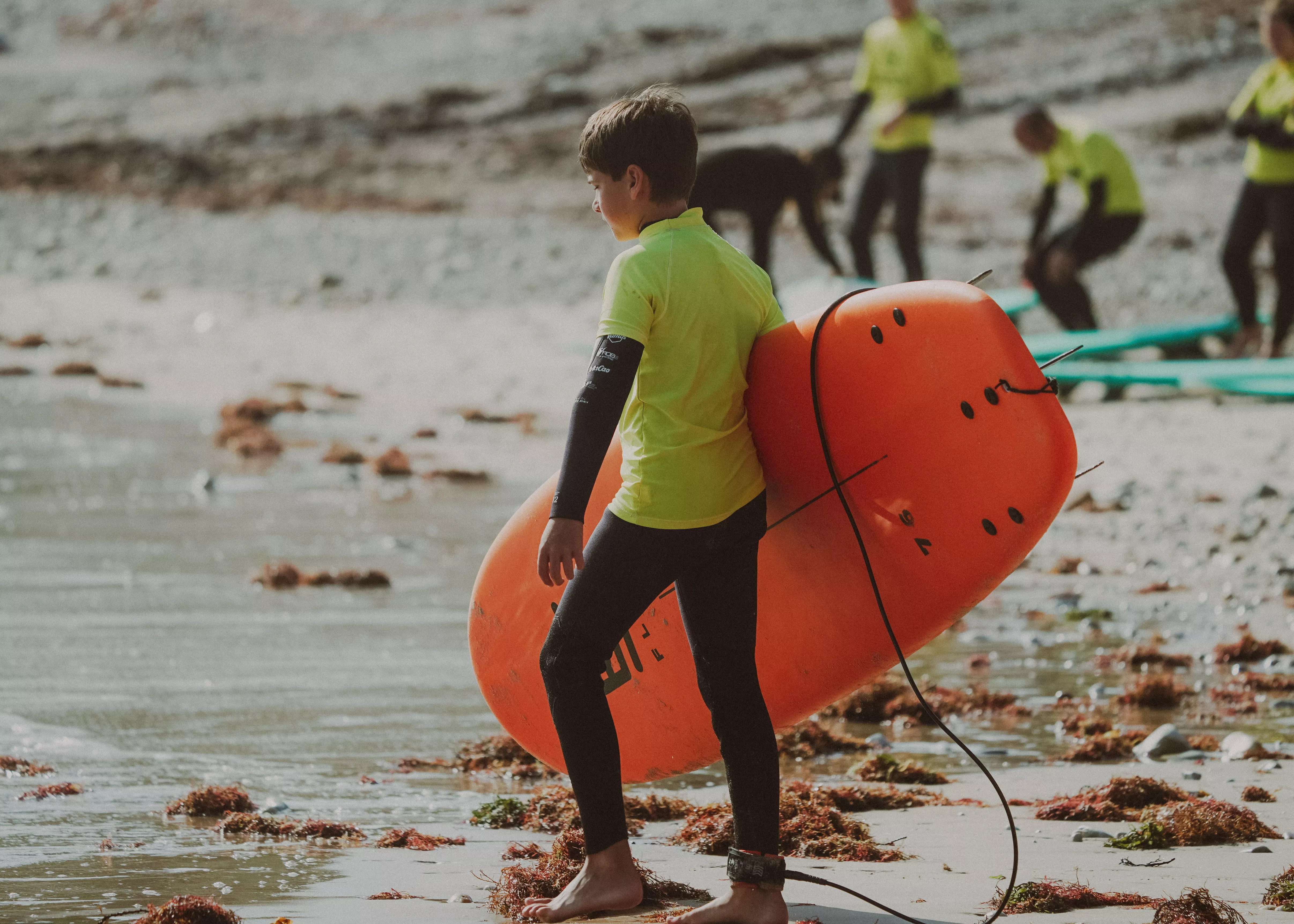 C348094D A305 43C2 9019 5A1D5F9236E5 336e51db